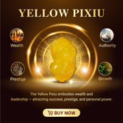Aura Havenly "Wealth and Power Energy" Golden Pixiu Necklace